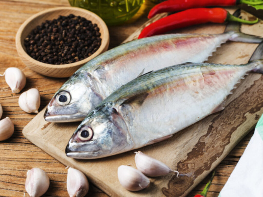 غذاهای ممنوعه برای کودکان زیر ۲ سال ماهی دارای جیوه